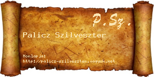 Palicz Szilveszter névjegykártya